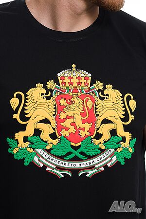 image_8