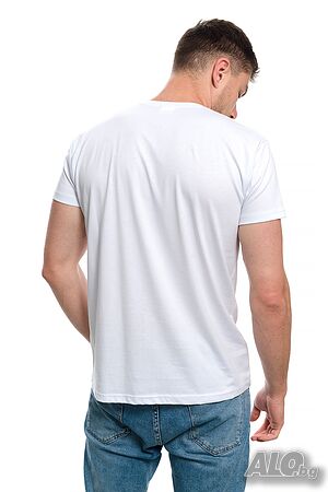 image_8