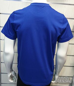 image_5