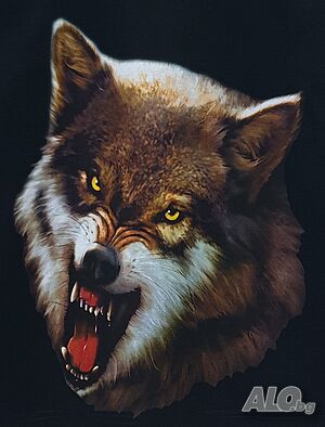 image_6