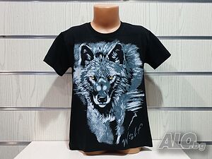 image_8