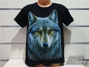 image_8