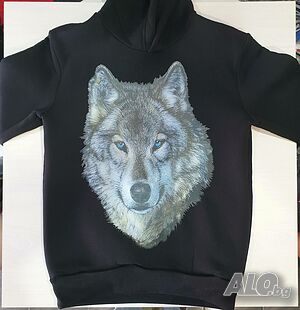 image_3