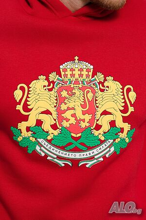 image_5