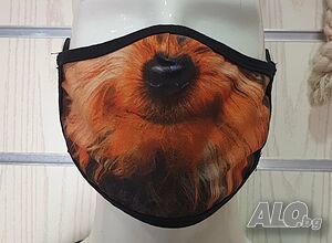 image_2