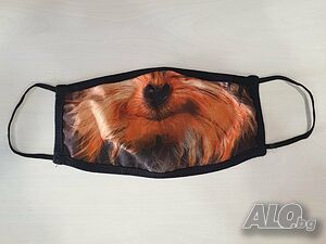 image_10