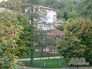 image_9
