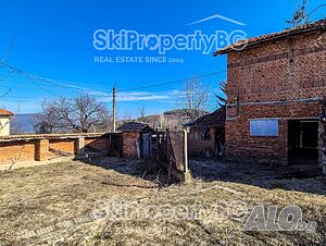 image_9
