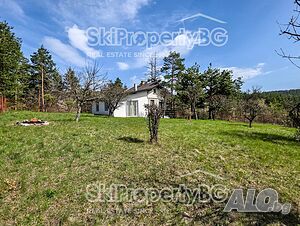 image_12