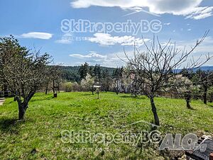 image_13