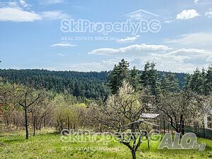 image_14