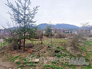 image_7