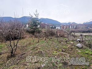 image_9