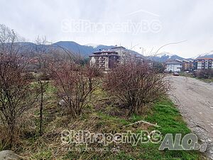image_8
