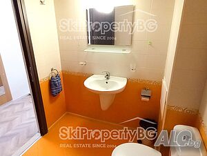 image_11