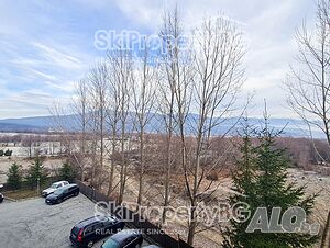 image_11