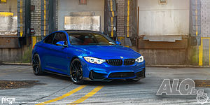 image_6