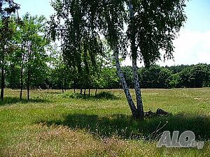 Продавам парцел 3000 м2 на 10 км. от морето - 5E/m2