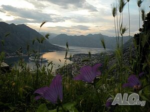 image_3