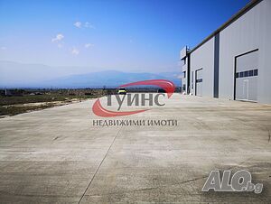 image_5