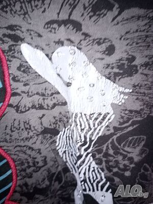 image_8