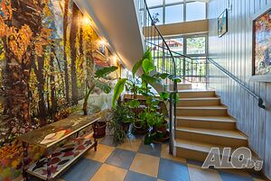 image_6