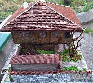 image_7