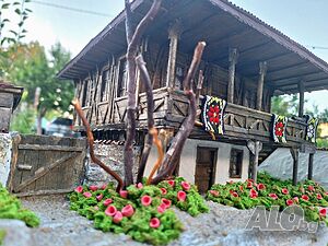 image_8