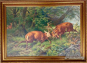 Биещи се елени в гора, картина за ловци