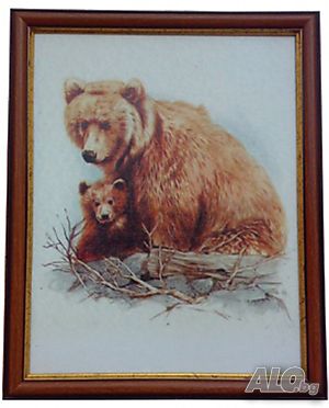 Мечка с мече, картина