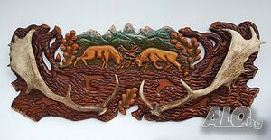 image_6
