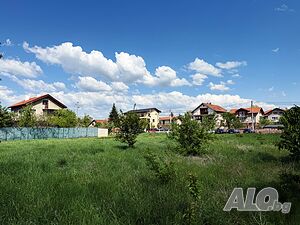 image_7