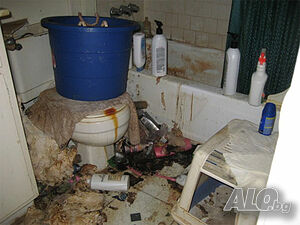 image_8