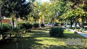 image_7