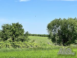 image_2