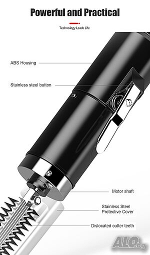 image_4
