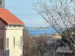 image_8