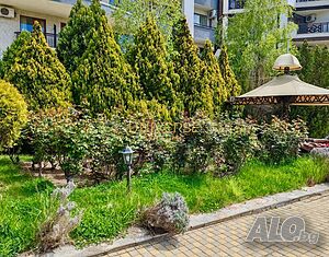 image_10
