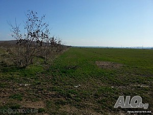 image_2
