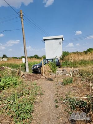 image_3