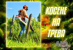Почистване на дворове, парцели, терени рязане на дърва