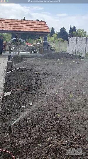 image_9