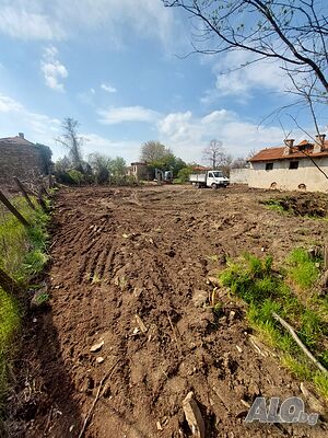 image_11