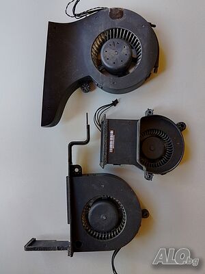 image_5
