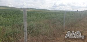 image_4