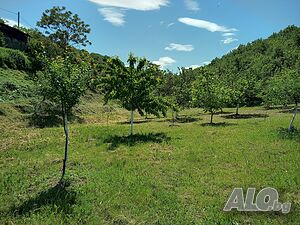 image_2