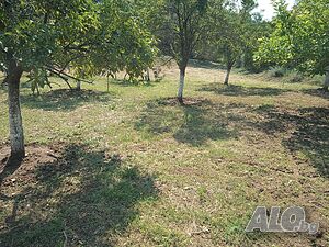 image_11