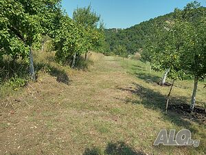image_12