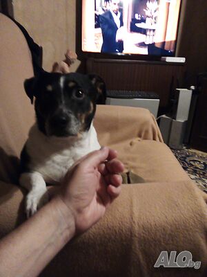 image_2