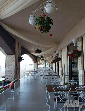 image_6